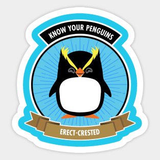 Erect-Crested Penguin - Know Your Penguins Sticker